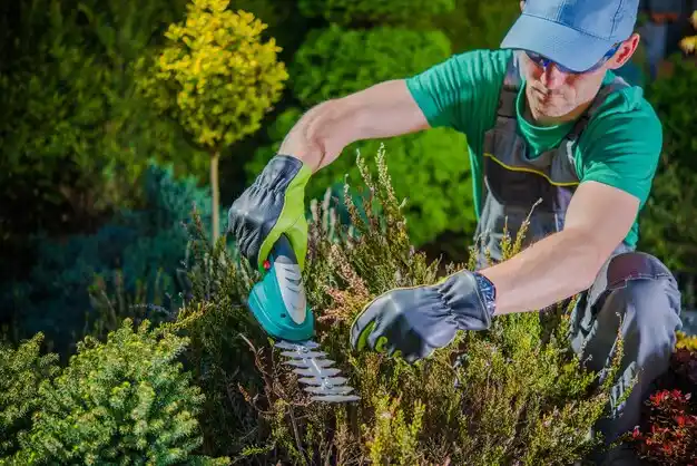 landscaping services New Bloomfield
